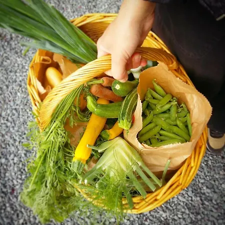 Pensjonat La Maison Folia 3*