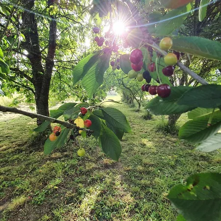 Pensjonat La Maison Folia 3*