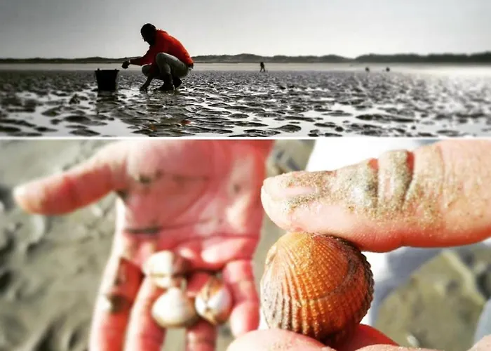 La Maison Folia Contrieres