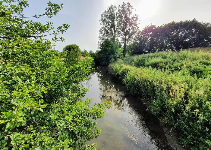 Guest house La Maison Folia 3*