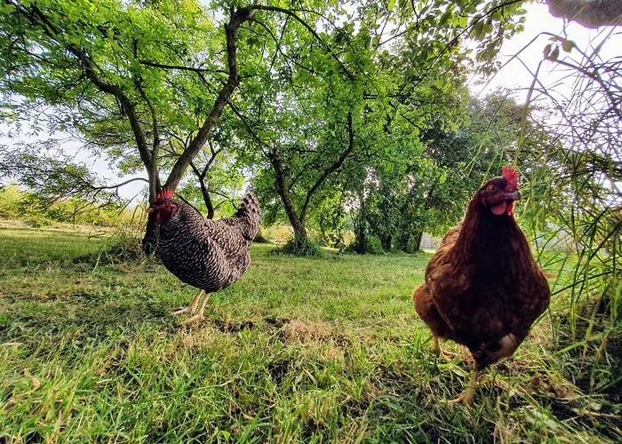 La Maison Folia Guest house Contrieres