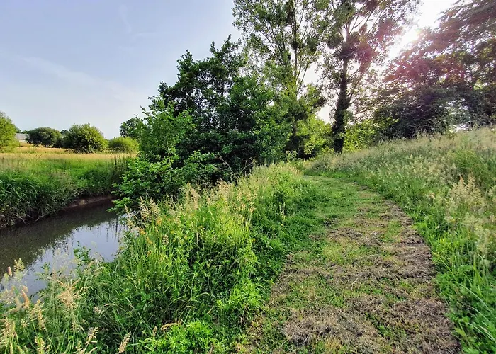 Guest house La Maison Folia 3*