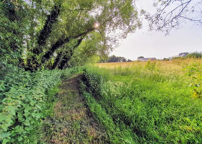 Guest house La Maison Folia