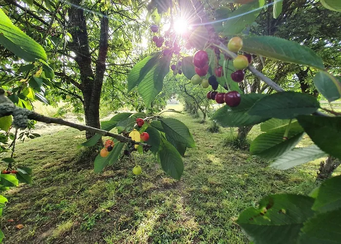 Guest house La Maison Folia 3*